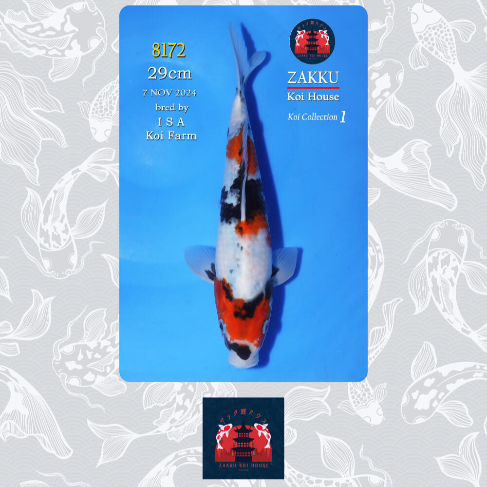 #8172 - SOLD